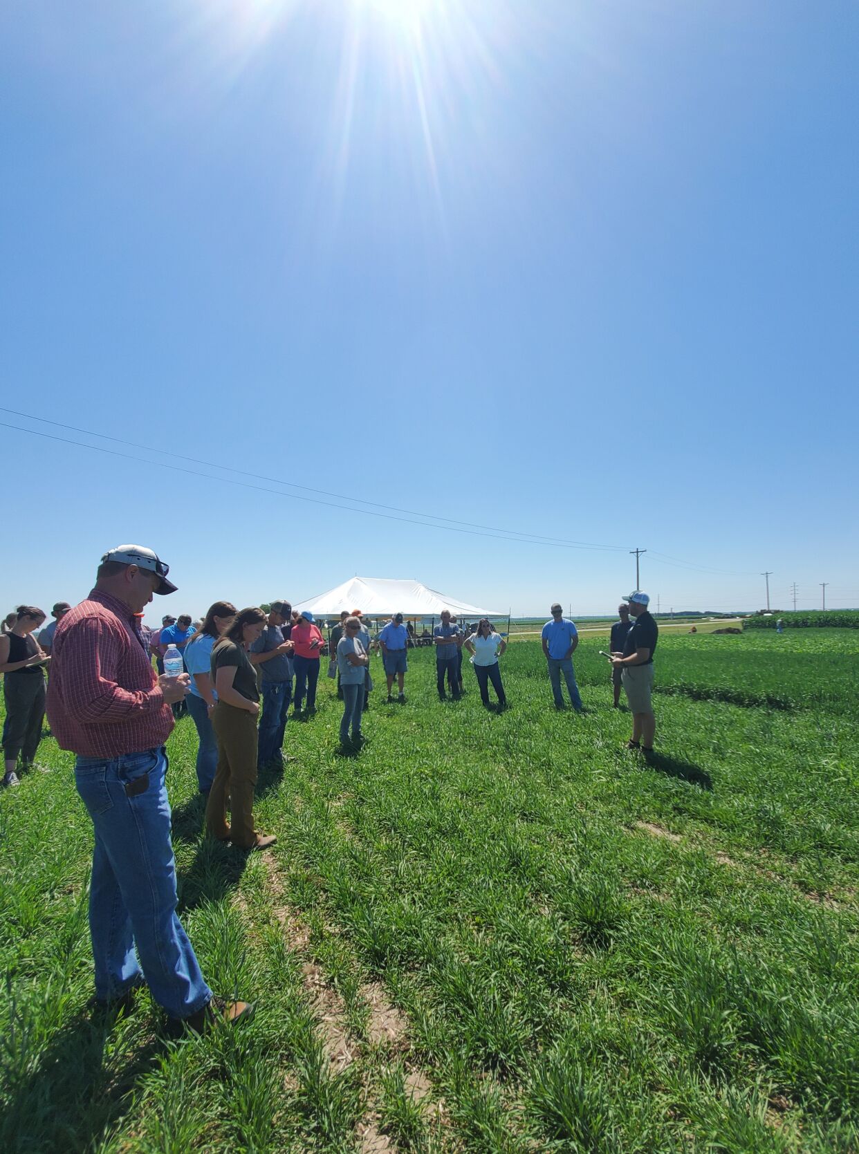 Building better soils through cover crops